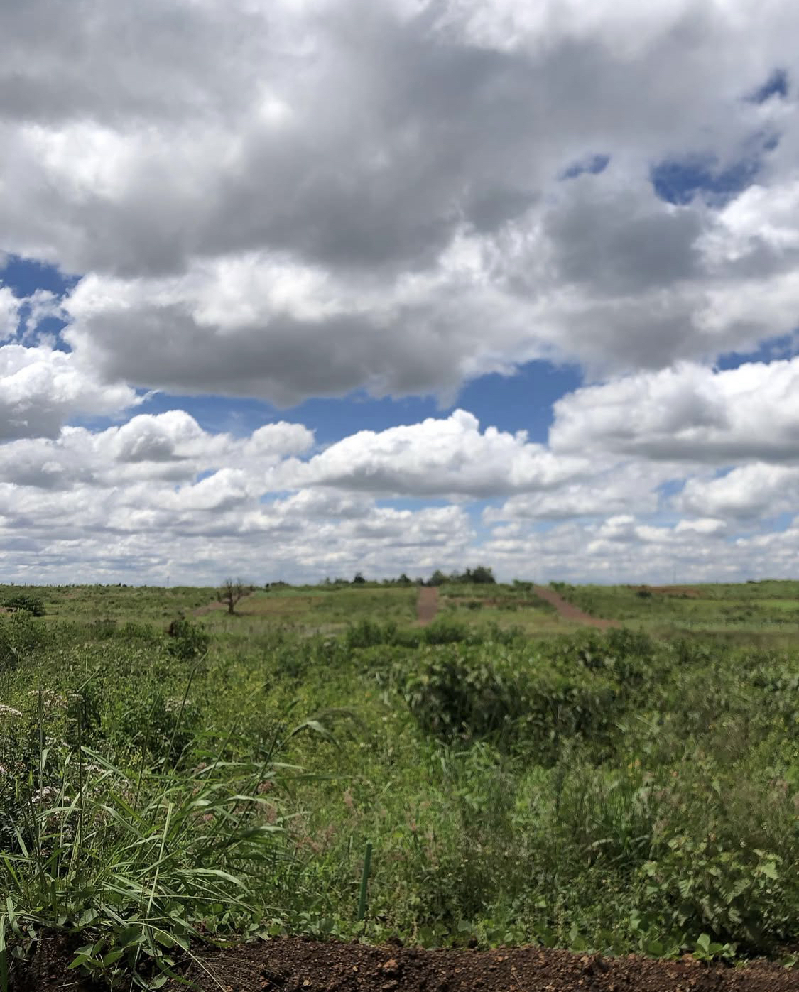 Ruiru land for sale